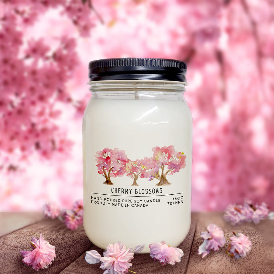 Jars retailer and cherry blossoms