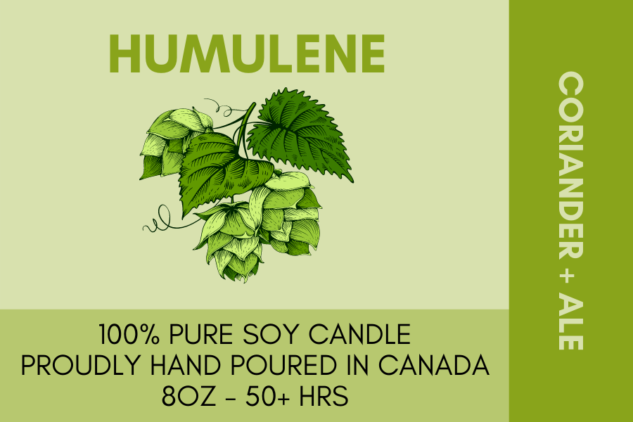 The Terpene Collection - Humulene