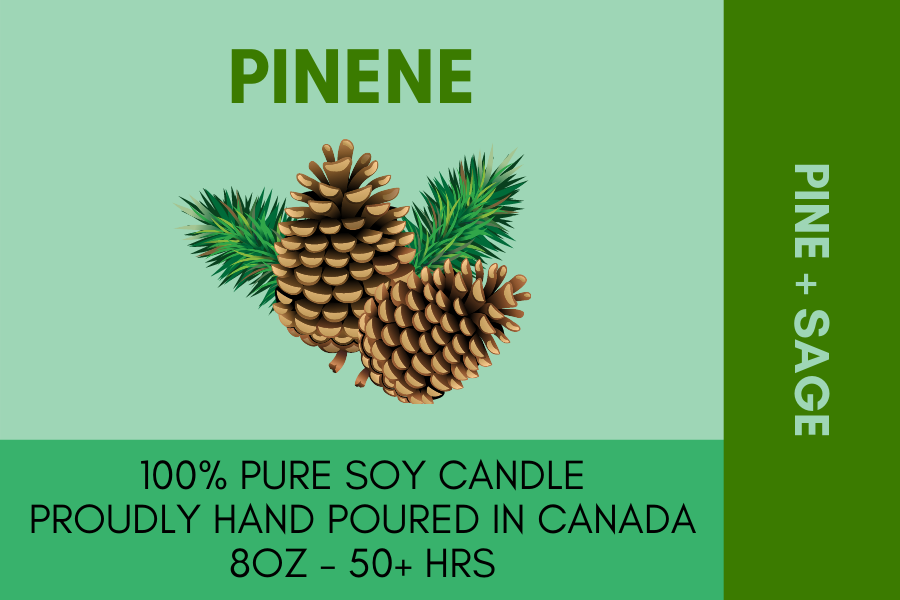 The Terpene Collection - Pinene