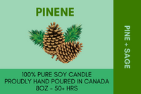 Thumbnail for The Terpene Collection - Pinene