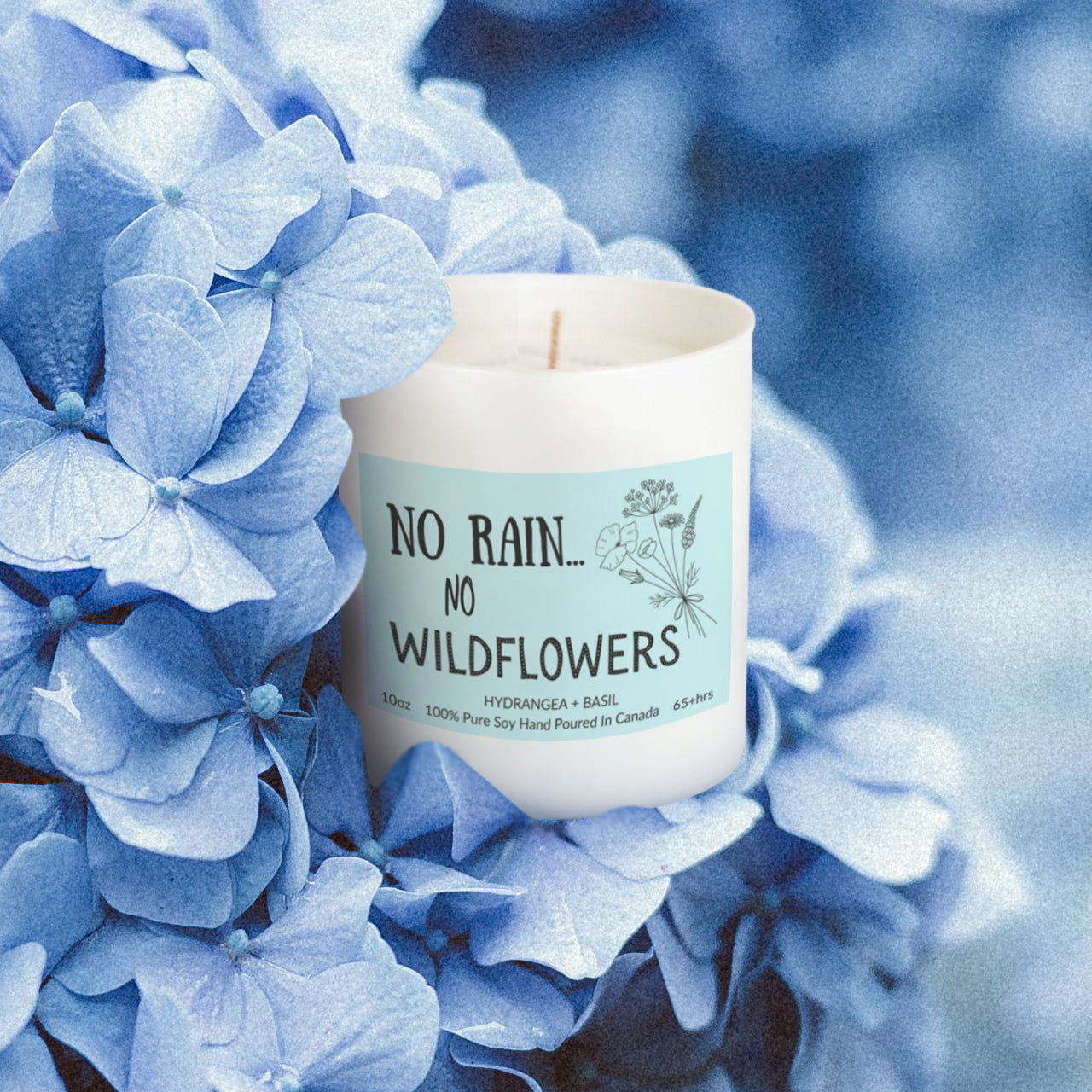 Wildflower Collection - No Rain...No Wildflowers