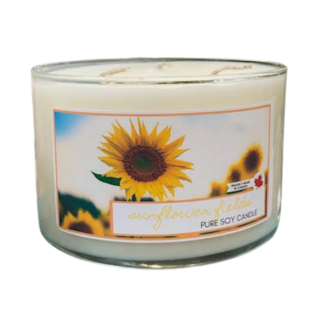 Sunflower Fields- 3 wick