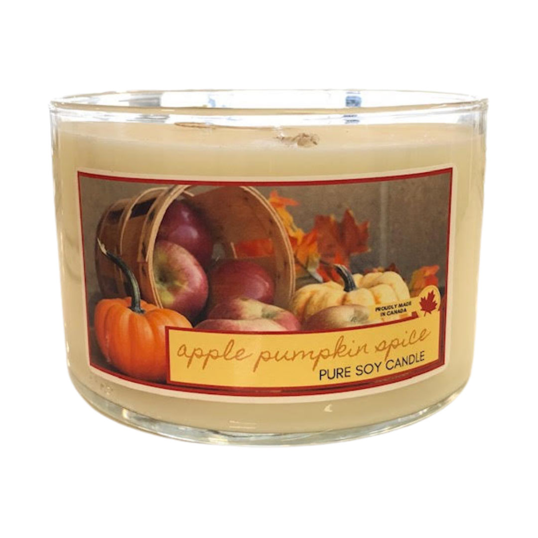 Apple Pumpkin Spice - 3 wick